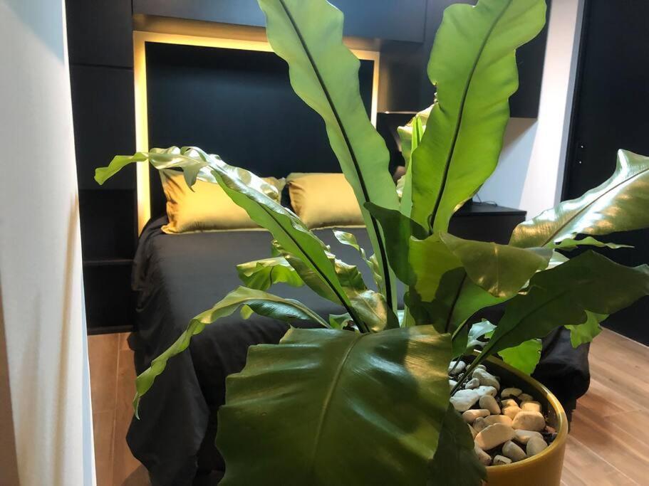 Black Loft. Moderno Y Nuevo, Super Ubicado. Μεξικό Εξωτερικό φωτογραφία